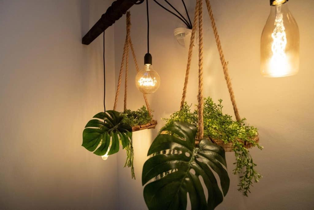 La Terrazza Su فيرونا المظهر الخارجي الصورة